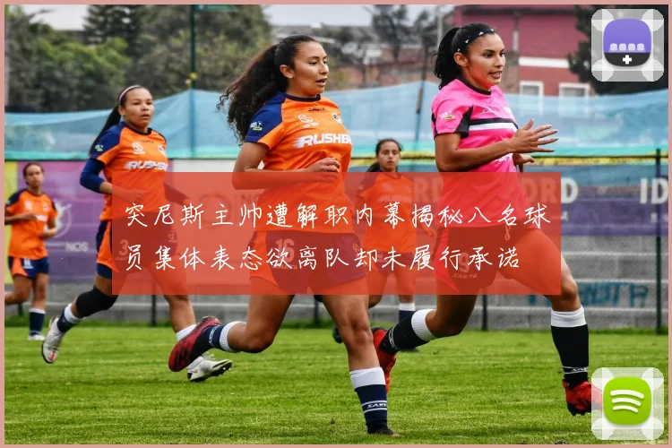 突尼斯主帅遭解职内幕揭秘八名球员集体表态欲离队却未履行承诺