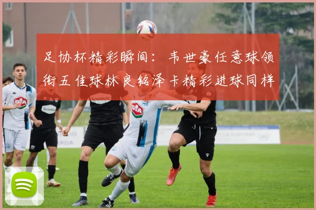 足协杯精彩瞬间：韦世豪任意球领衔五佳球林良铭泽卡精彩进球同样耀眼