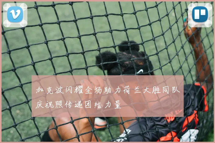 加克波闪耀全场助力荷兰大胜同队庆祝照传递团结力量